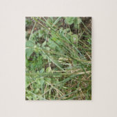 Grasshopper Camouflage Puzzle Legpuzzel (Verticaal)