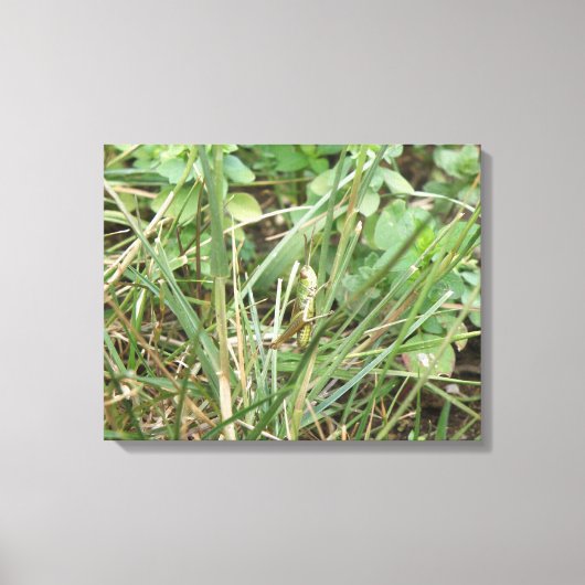 Grasshopper Camouflage toile Imprimer (Recto)