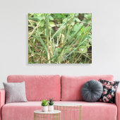 Grasshopper Camouflage toile Imprimer (Insitu(Salon))