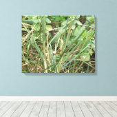 Grasshopper Camouflage toile Imprimer (Insitu (Plancher de Bois))