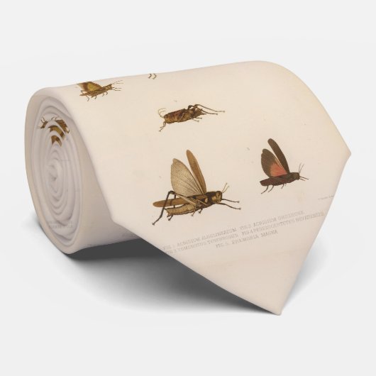  Grasshopper Diagram (1875) Stropdas (Opgerold)