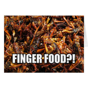 Grasshopper frit (Takkataen Thot) Alimentation asi