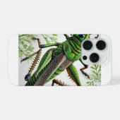 Grasshopper in natural environment 251024IREF222 - (Verso Horizontal)