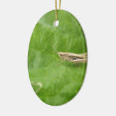 Grasshopper Keramisch Ornament (Links)