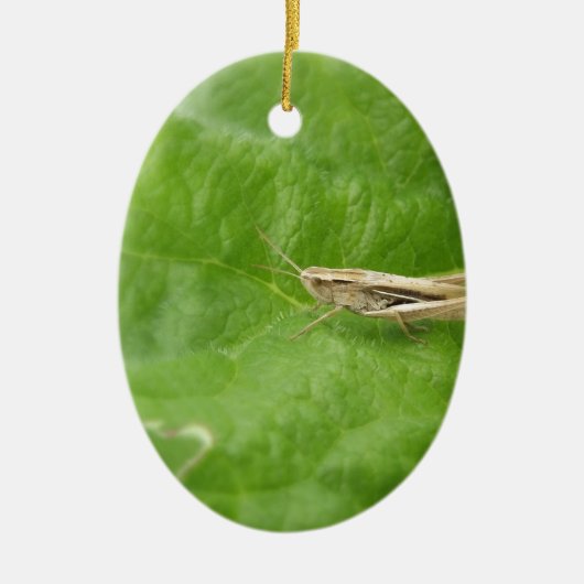 Grasshopper Keramisch Ornament (Voorkant)