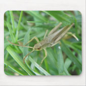 Grasshopper Mousepad Muismat (Voorkant)