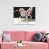Grasshopper nimf canvas afdruk (Insitu (Woonkamer))