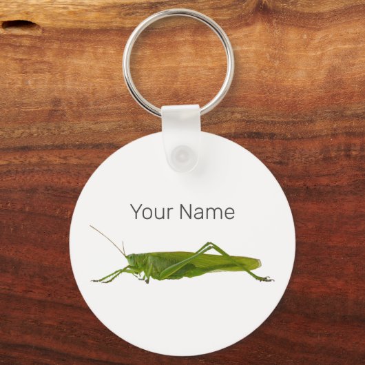 Grasshopper of Hayhorse Retro Insect Dierengift Sleutelhanger (Achterkant)