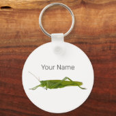 Grasshopper of Hayhorse Retro Insect Dierengift Sleutelhanger (Voorkant)