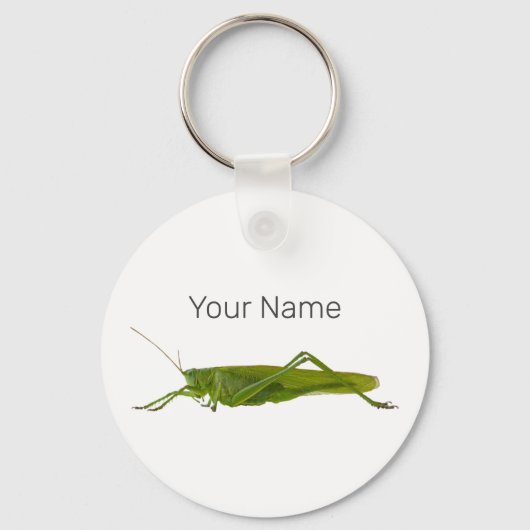 Grasshopper of Hayhorse Retro Insect Dierengift Sleutelhanger (Achterkant)