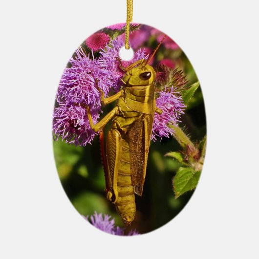 Grasshopper op Ageratum Keramisch Ornament (Voorkant)