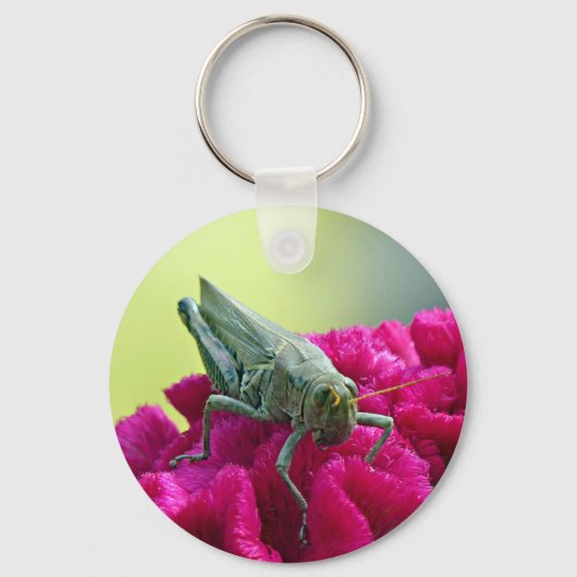 Grasshopper op Cockscomb Sleutelhanger (Voorkant)