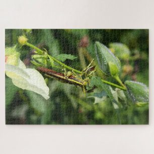 Grasshopper Pair 2 Legpuzzel