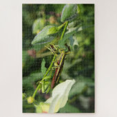 Grasshopper Pair 2 Legpuzzel (Verticaal)