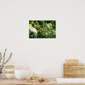 Grasshopper Pair 2 Poster (Keuken)