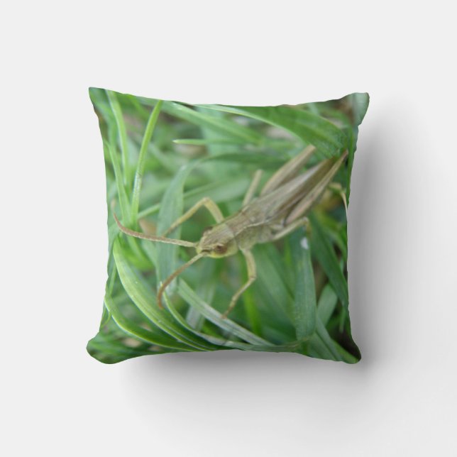 Grasshopper Pillow Kussen (Voorkant)