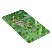 Grasshopper Premium Magnet (Côté Droit)