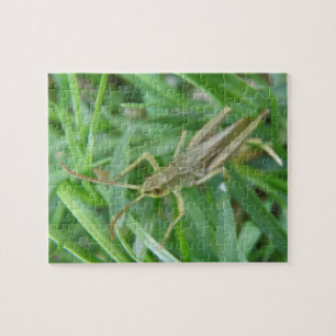 Grasshopper Puzzle Legpuzzel