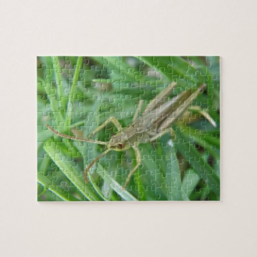 Grasshopper Puzzle Legpuzzel (Horizontaal)