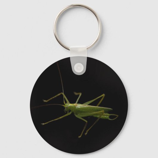 grasshopper sleutelhanger (Voorkant)