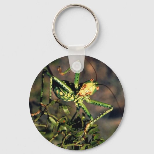 Grasshopper Sleutelhanger (Voorkant)