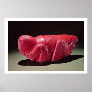 Grasshopper uit Chapultepec, Mexico, c.1500 (karn) Poster