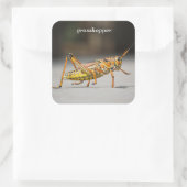 grasshopper vierkante sticker (Tas)
