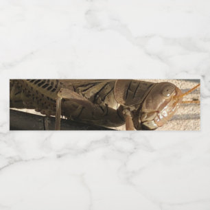 Grasshopper Waterfles Etiket