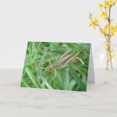 Grasshopper  Wenskaart Kaart (Gele Bloem)
