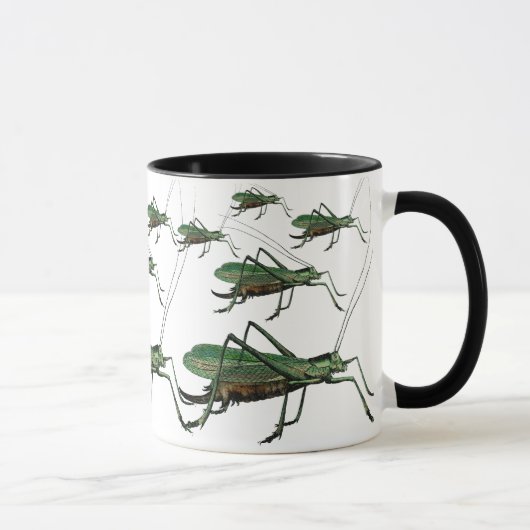 grasshoppers, Katydiden, Struiken Krickets Mok (Rechts)