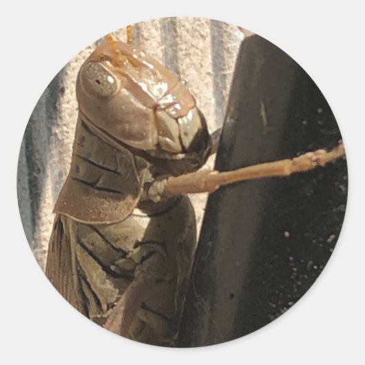 Grasshopping Stickers (Voorkant)