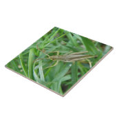 Grasshopping Tile Tegeltje (Zijkant)