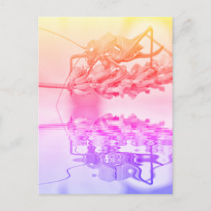 Grasshout boven water met reflectie briefkaart