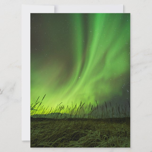 Grasslands Aurora (Voorkant)