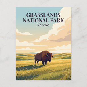 Grasslands National Park Canada Briefkaart