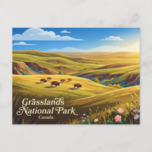 Grasslands National Park Canada Briefkaart