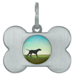 Grassy Field Pointer Dog Huisdieren Naamplaatje