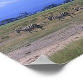 Grassy Plain Poster (Hoek)