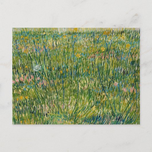 grasveld | Vincent van Gogh Briefkaart (Voorkant)
