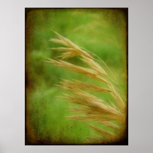 Graszaad Poster (Voorkant)