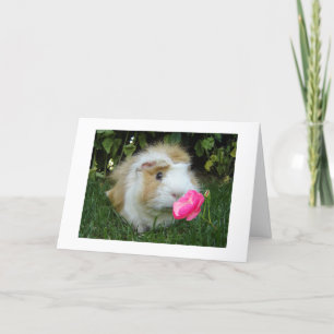 GRATEFUL GERBIL HAPPY IT IS "UW" BIRTHDAAG NIET ZI KAART