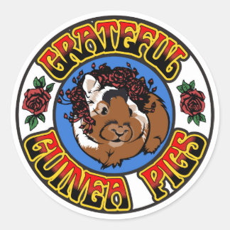 Grateful Guinea Pig Ronde Sticker