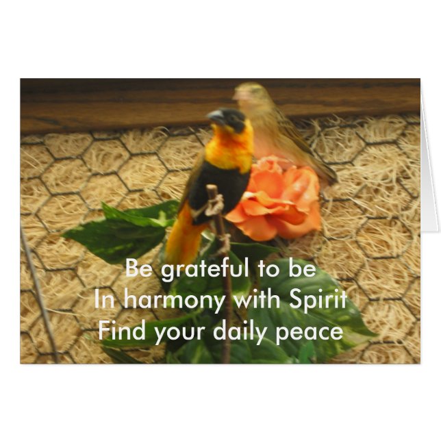 Grateful Haiku/Birds op kaart (Voorkant Horizontaal)