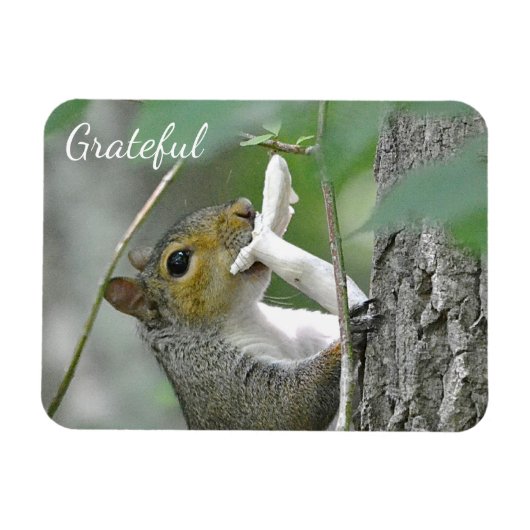 Grateful Squirrel Magneet (Horizontaal)