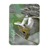 Grateful Squirrel Magneet (Verticaal)