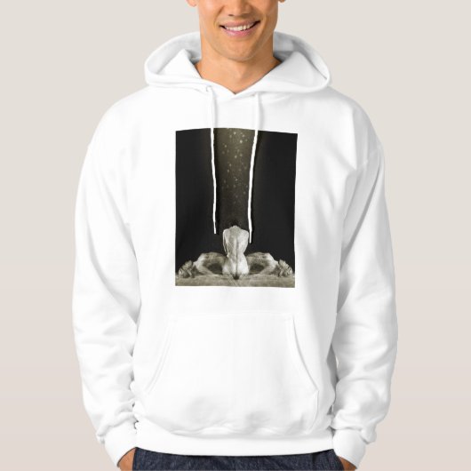 Gratis 2013 hoodie (Voorkant)