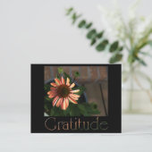 Gratis 3 briefkaart (Staand voorkant)