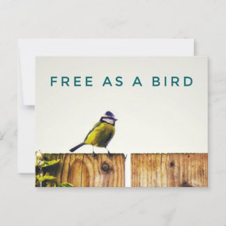 Gratis als een Vogel Ansichtkaart Briefkaart