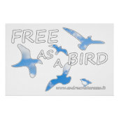 Gratis als vogelglossy perfect poster (Voorkant)
