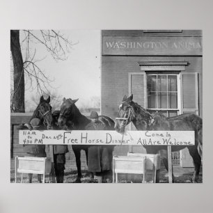 Gratis diner voor paarden, 1923. Oude foto Poster